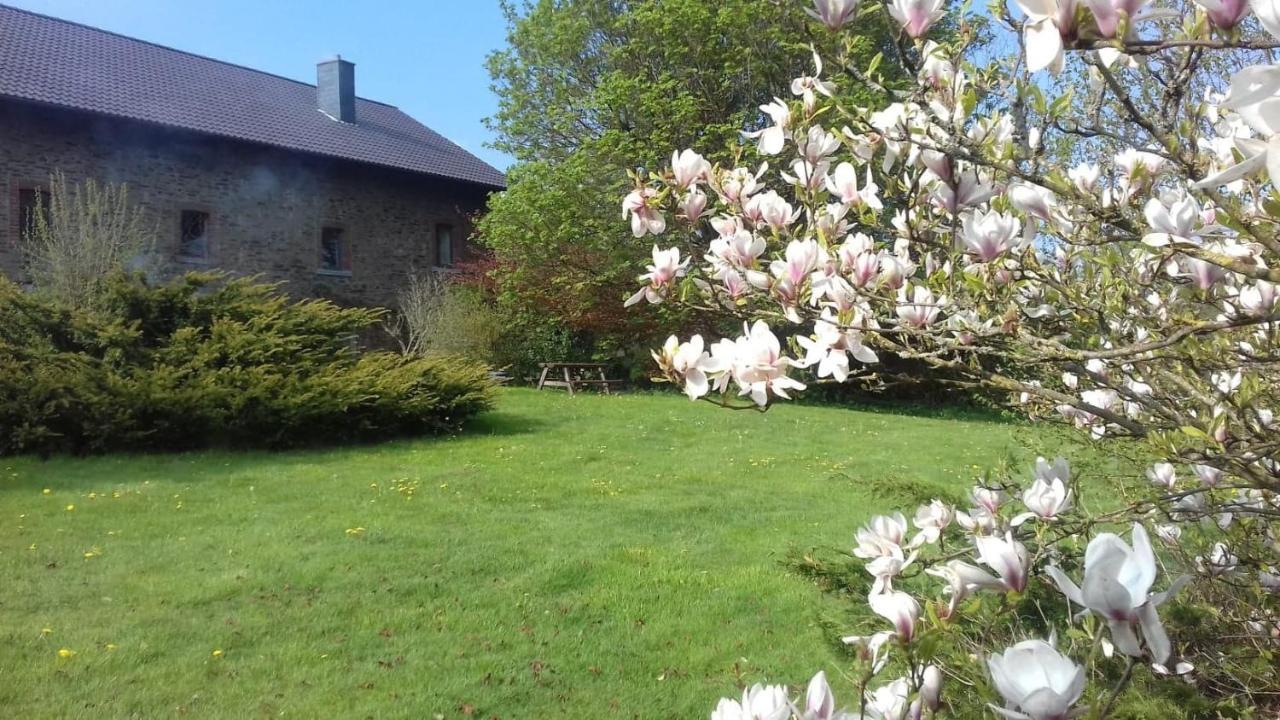Villa Les Glycines Gouvy Exterior foto