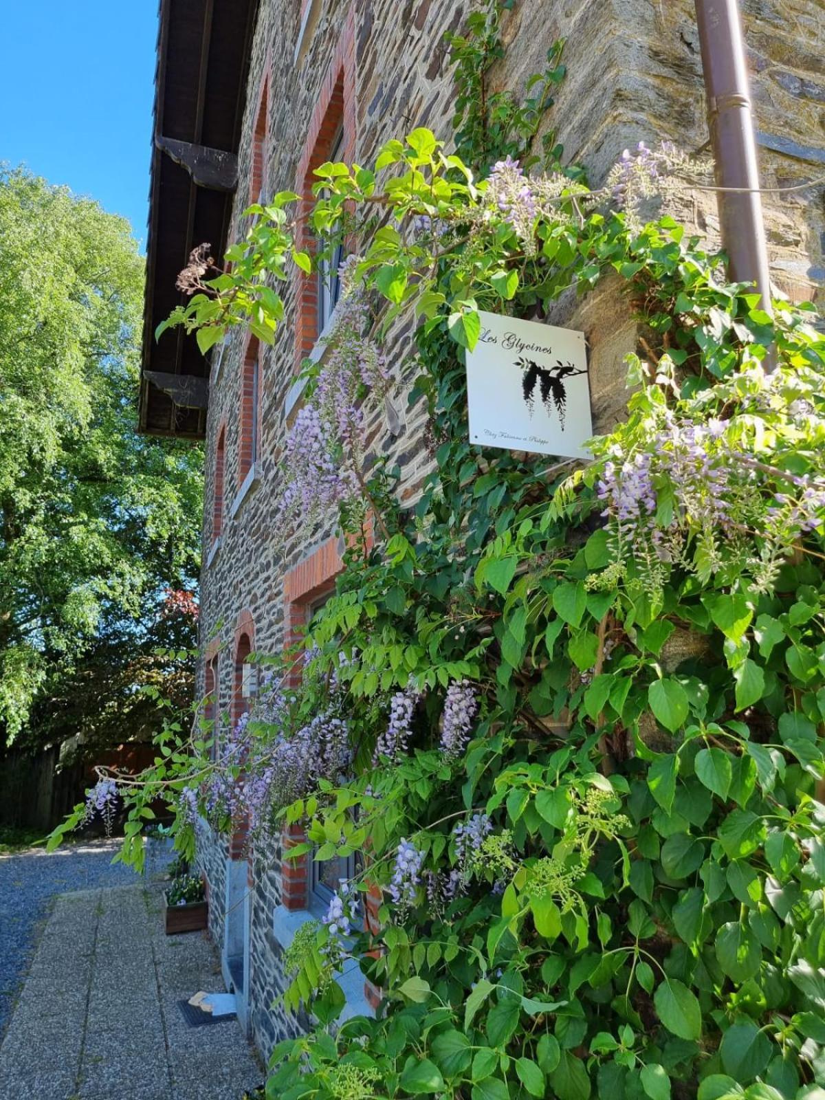 Villa Les Glycines Gouvy Exterior foto